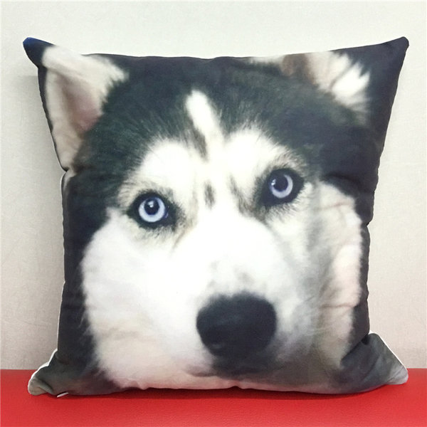 DBP 030 Decorative Bed Pillow Case 40mm * 40mm