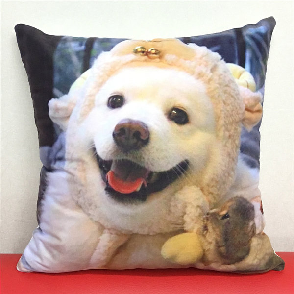 DBP 029 Decorative Bed Pillow Case 40mm * 40mm