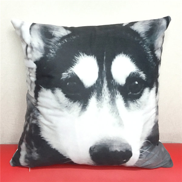 DBP 028 Decorative Bed Pillow Case 40mm * 40mm