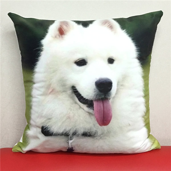 DBP 027 Decorative Bed Pillow Case 40mm * 40mm