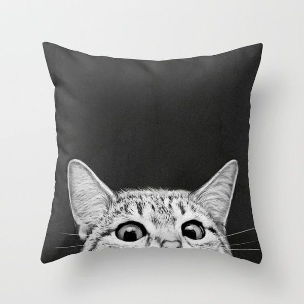 DBP 001 Decorative Bed Pillow Case 40mm * 40mm