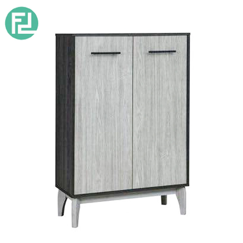 CHESTER 2 door multipurpose cabinet shoe cabinet filling cabinet