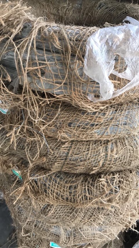Steel Wire