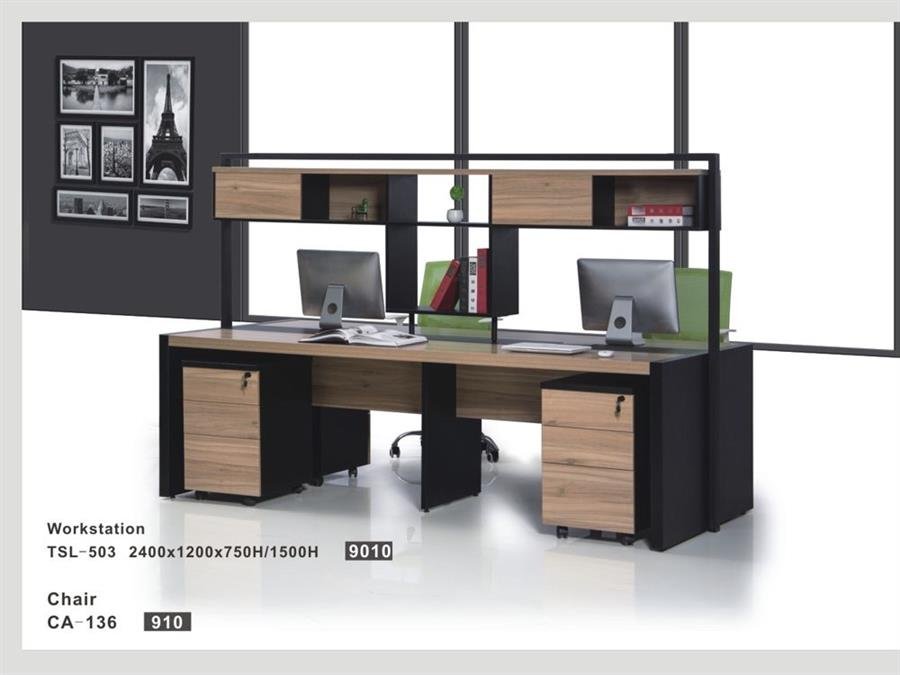 Workstation - TSL-503