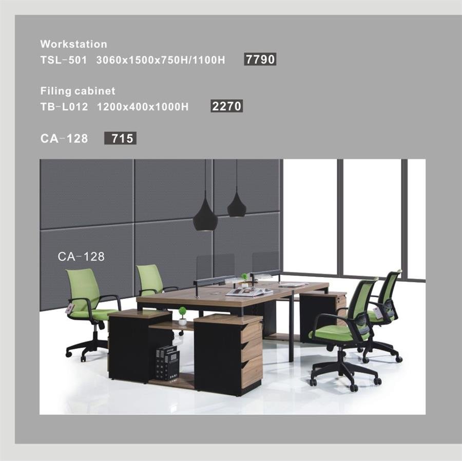 Workstation - TSL-501