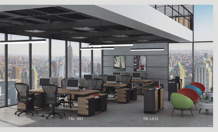 Workstation - TSL-501