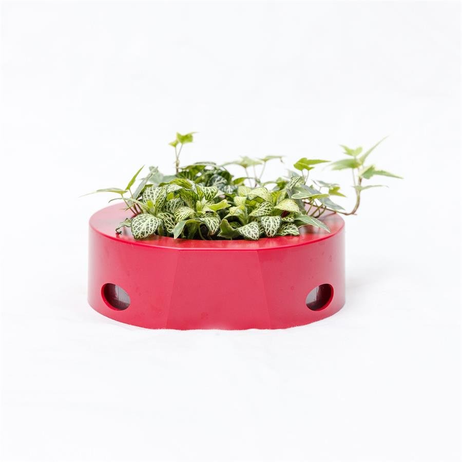 B. Midorie Round Frame w Plants - Red