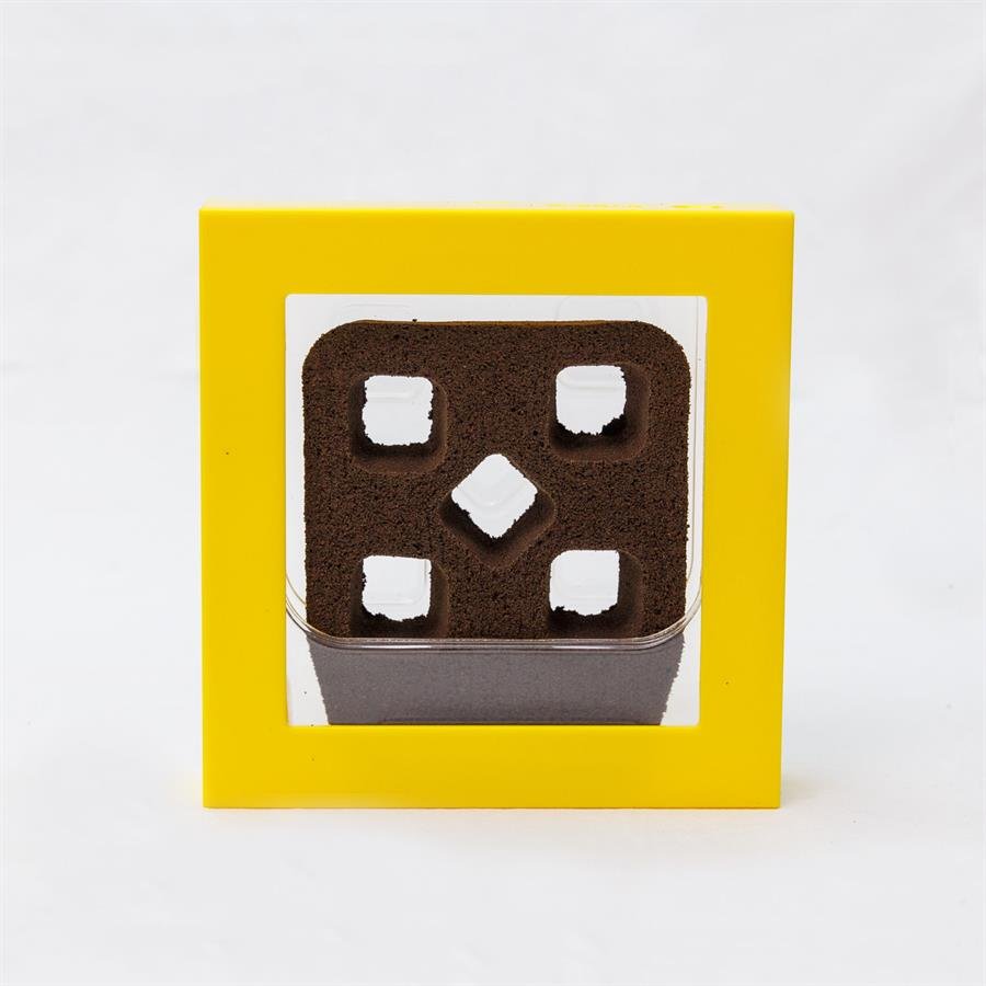 B. Midorie Square Frame - Yellow