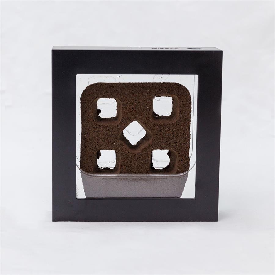 B. Midorie Square Frame - Black