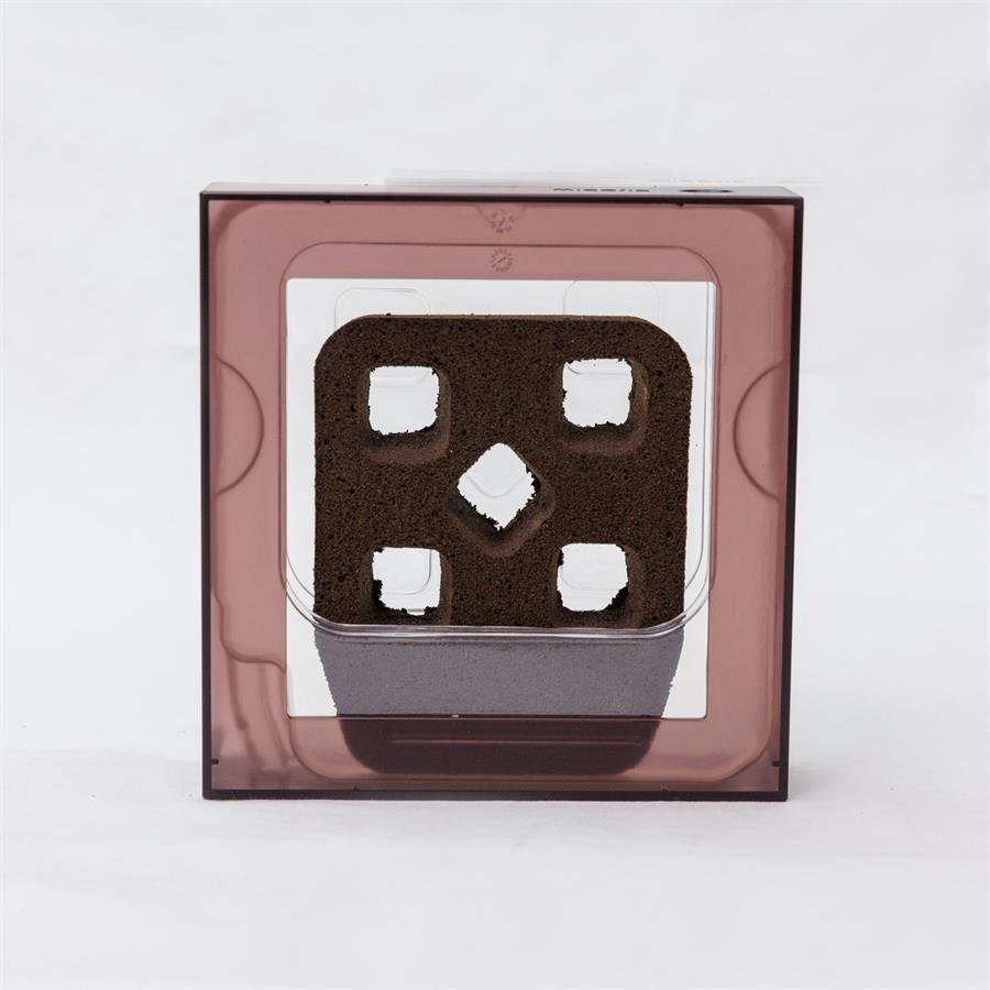 B. Midorie Square Frame - Brown