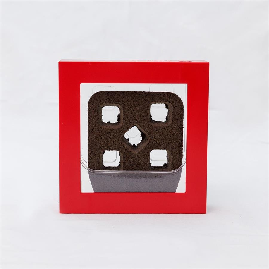 B. Midorie Square Frame - Red