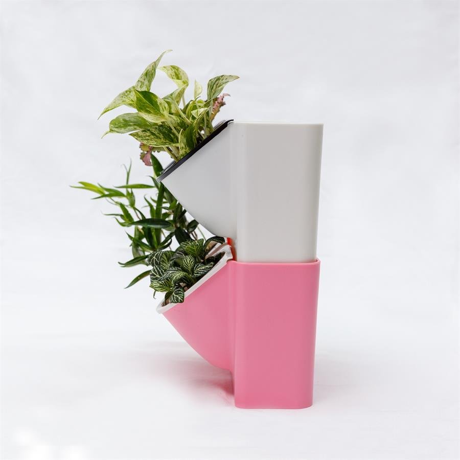E. Twin Easy Pot w Plants - 2 units