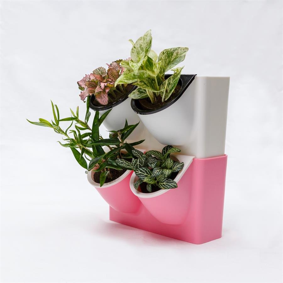 E. Twin Easy Pot w Plants - 2 units