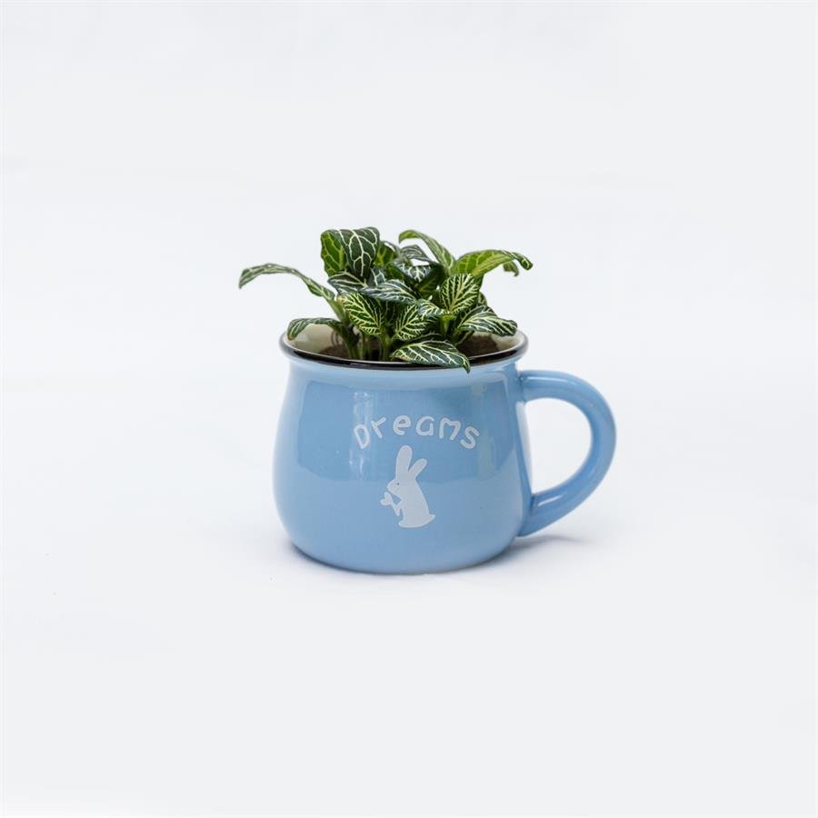 E. Cup Pot w Plants - Light Blue