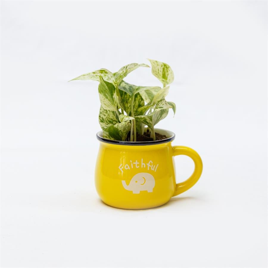 E. Cup Pot w Plants - Yellow