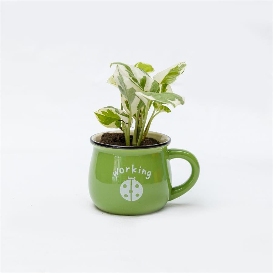 E. Cup Pot w Plants - Green