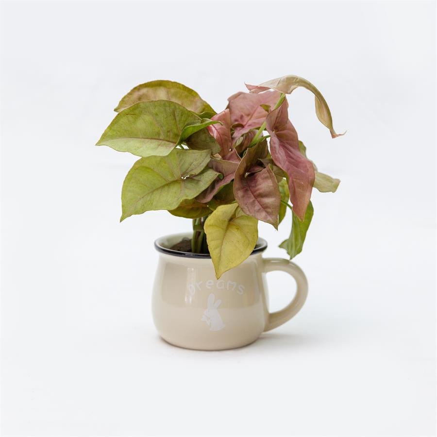 E. Cup Pot w Plants - Beige