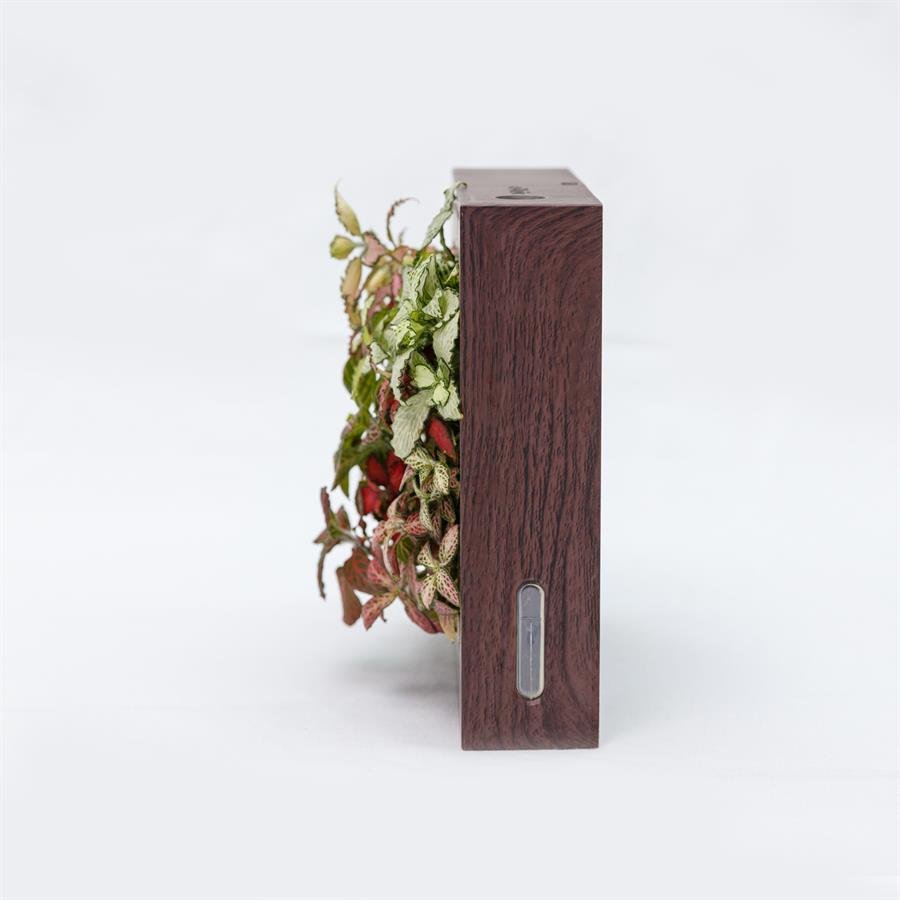 B. Midorie Square Frame w Plants - Dark Wood