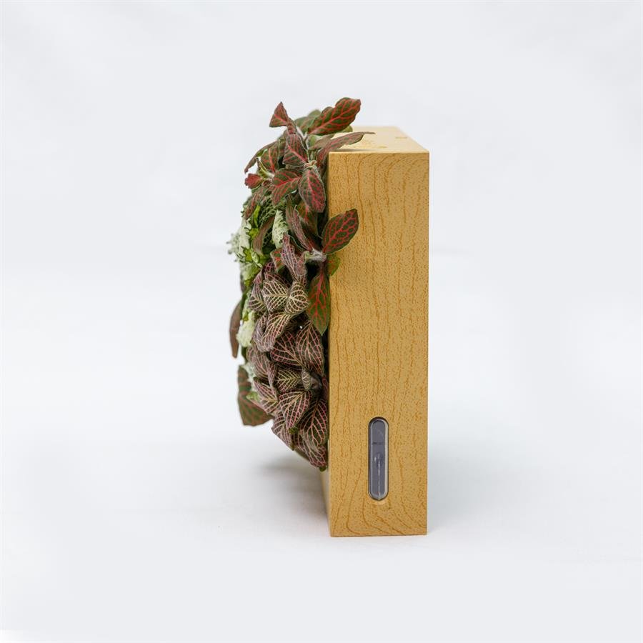 B. Midorie Square Frame w Plants - Light Wood
