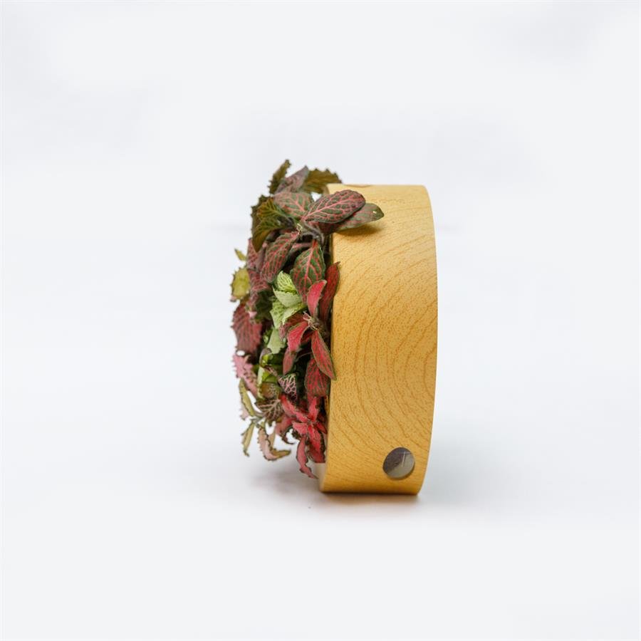 B. Midorie Round Frame w Plants - Light Wood