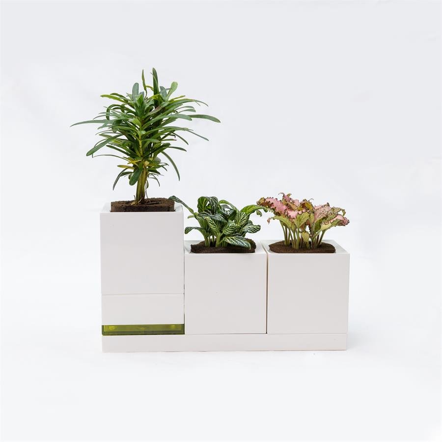 E. Triple USB Pot w Plants