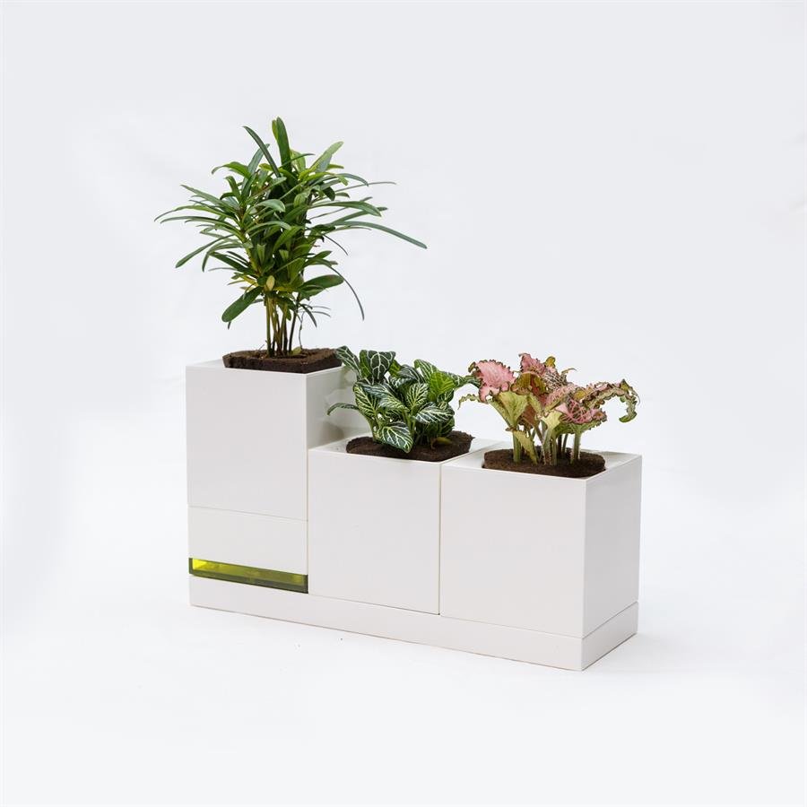 E. Triple USB Pot w Plants