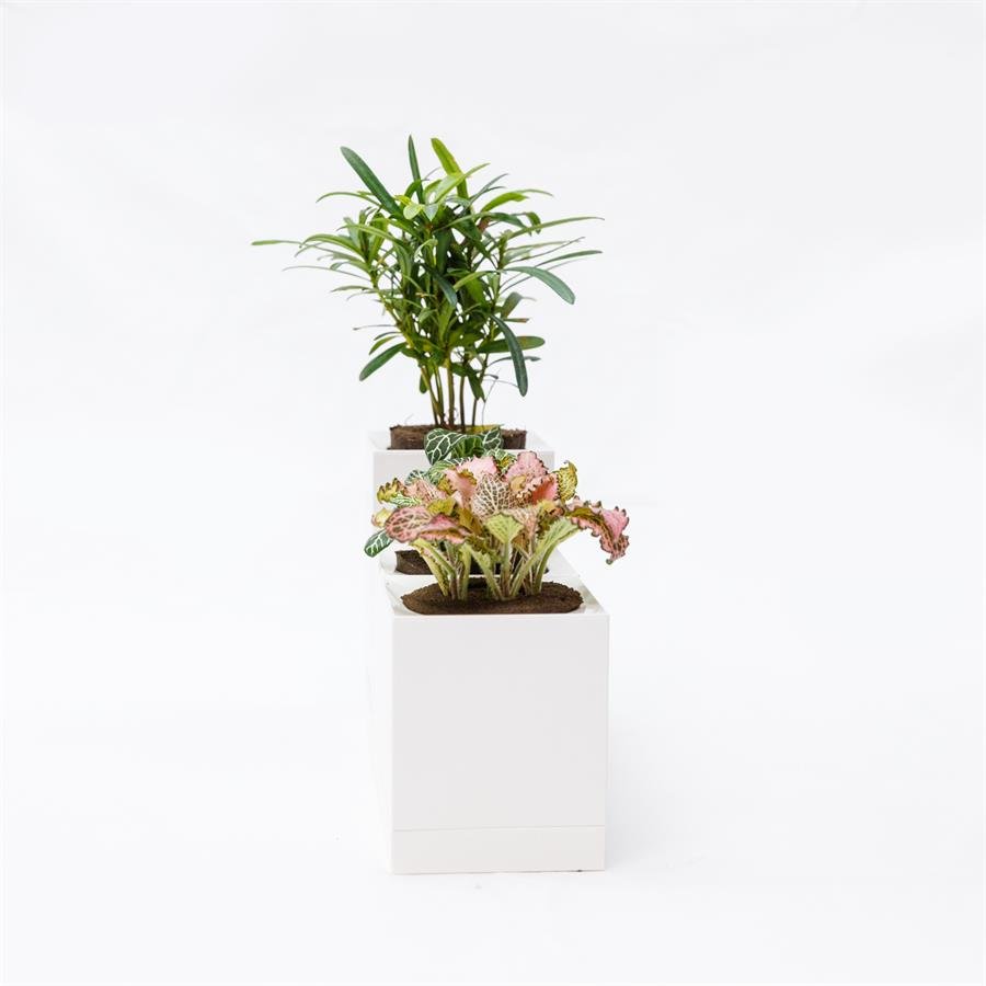 E. Triple USB Pot w Plants