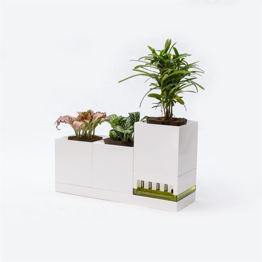E. Triple USB Pot w Plants