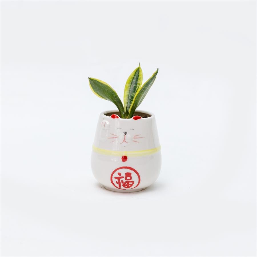 D. Japanese Cat w Plants