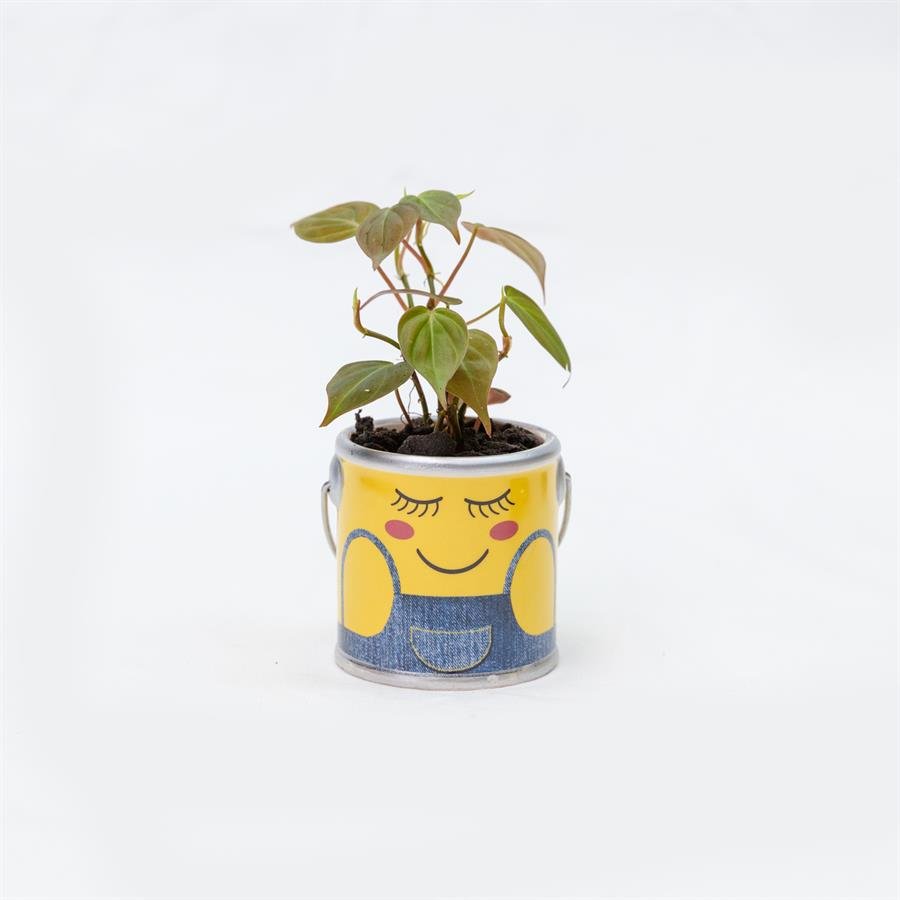 D. Minion Pot w Plants