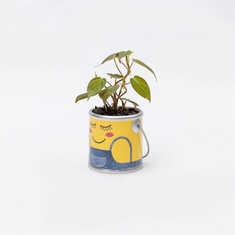 D. Minion Pot w Plants