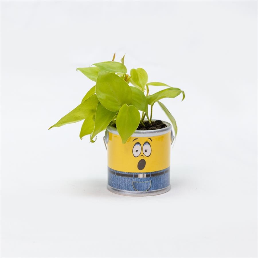D. Minion Pot w Plants