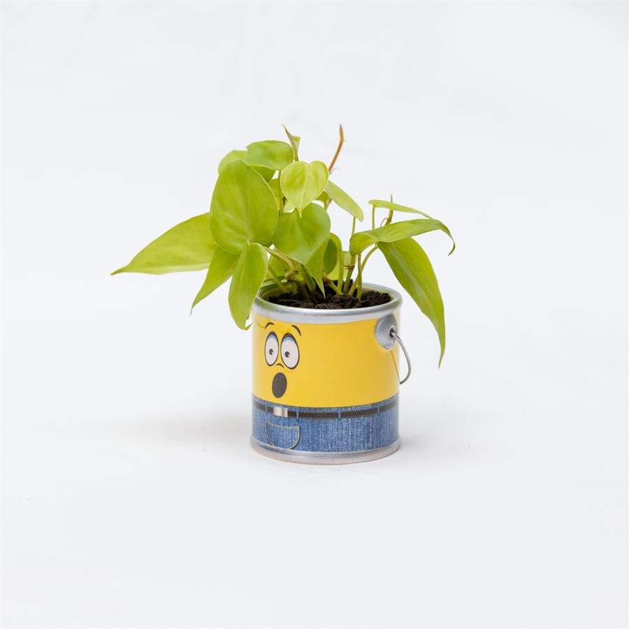 D. Minion Pot w Plants