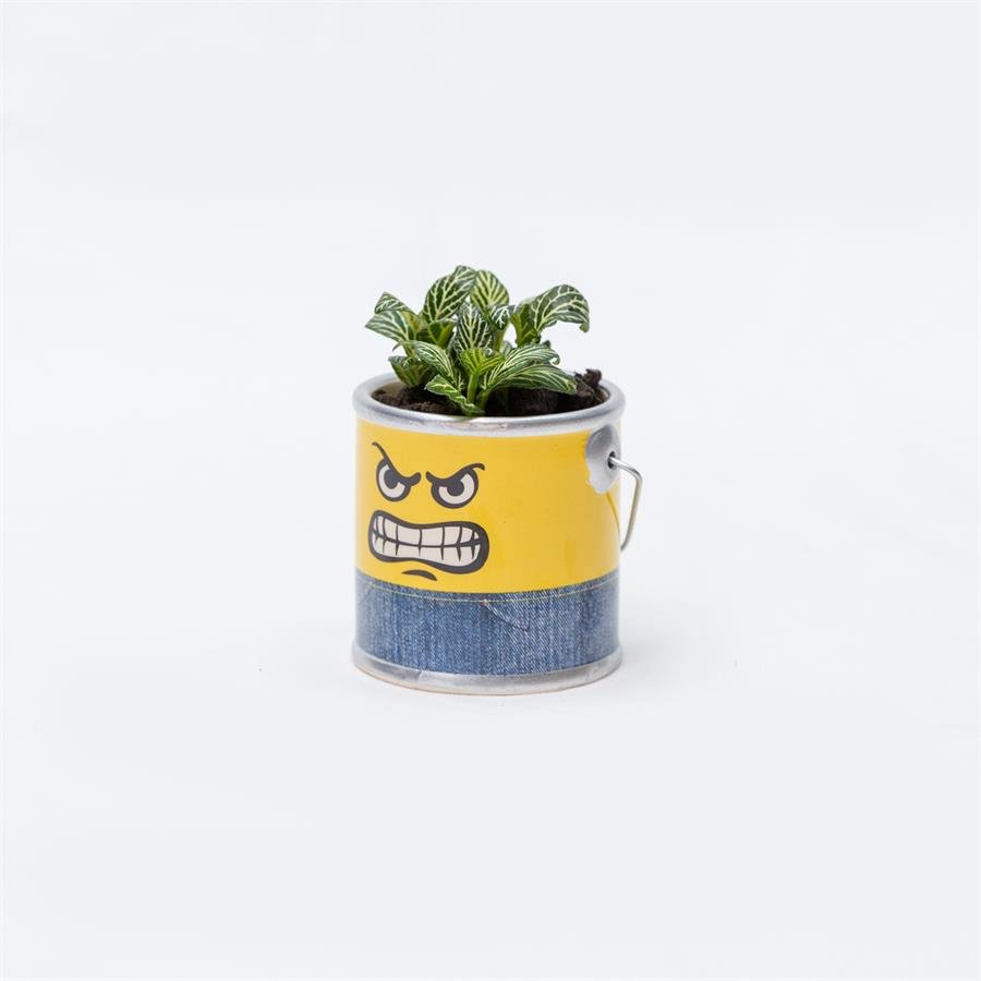 D. Minion Pot w Plants