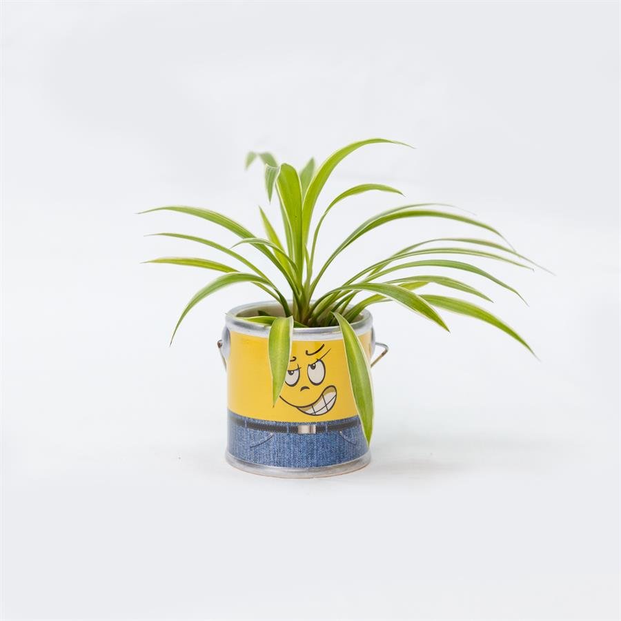 D. Minion Pot w Plants