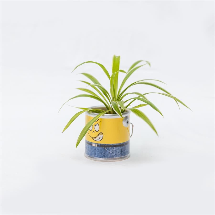D. Minion Pot w Plants