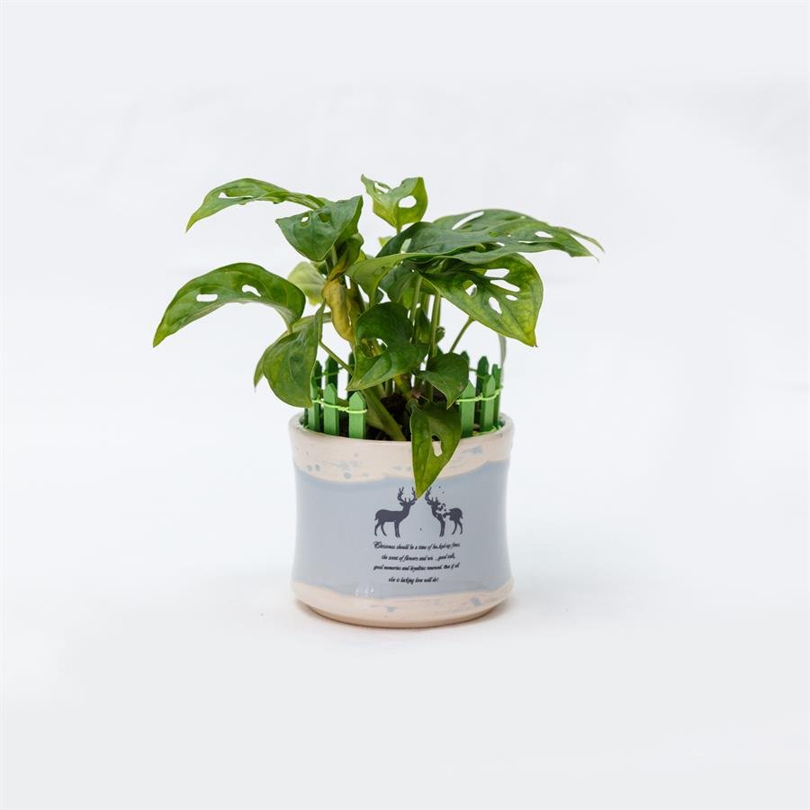 E. Deer Pot w Plants