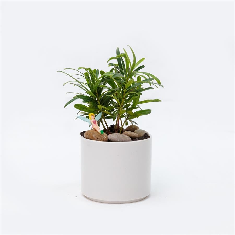 E. White Porcelain Pot w Plants