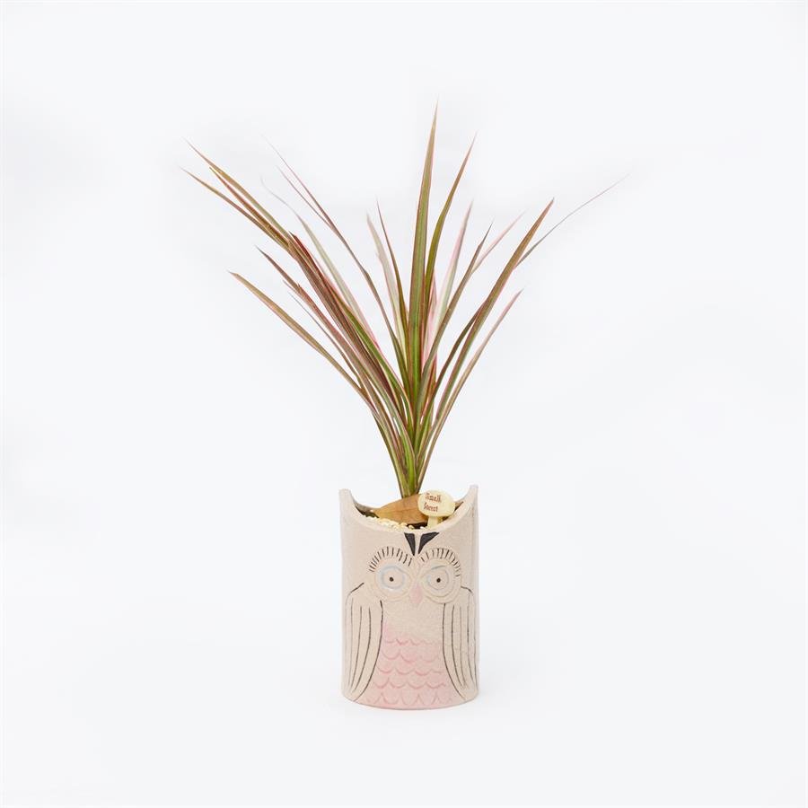 E. Owls Pot w Plants