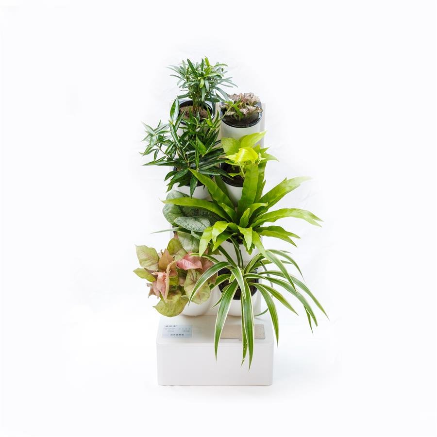 F. Automatic Indoor Easy Pot w Plants
