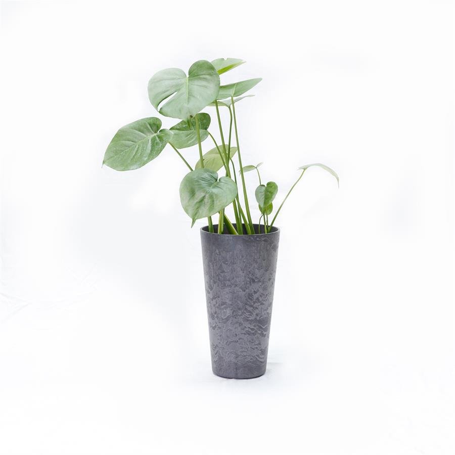 F. Big Tall Pot w Plants - Grey