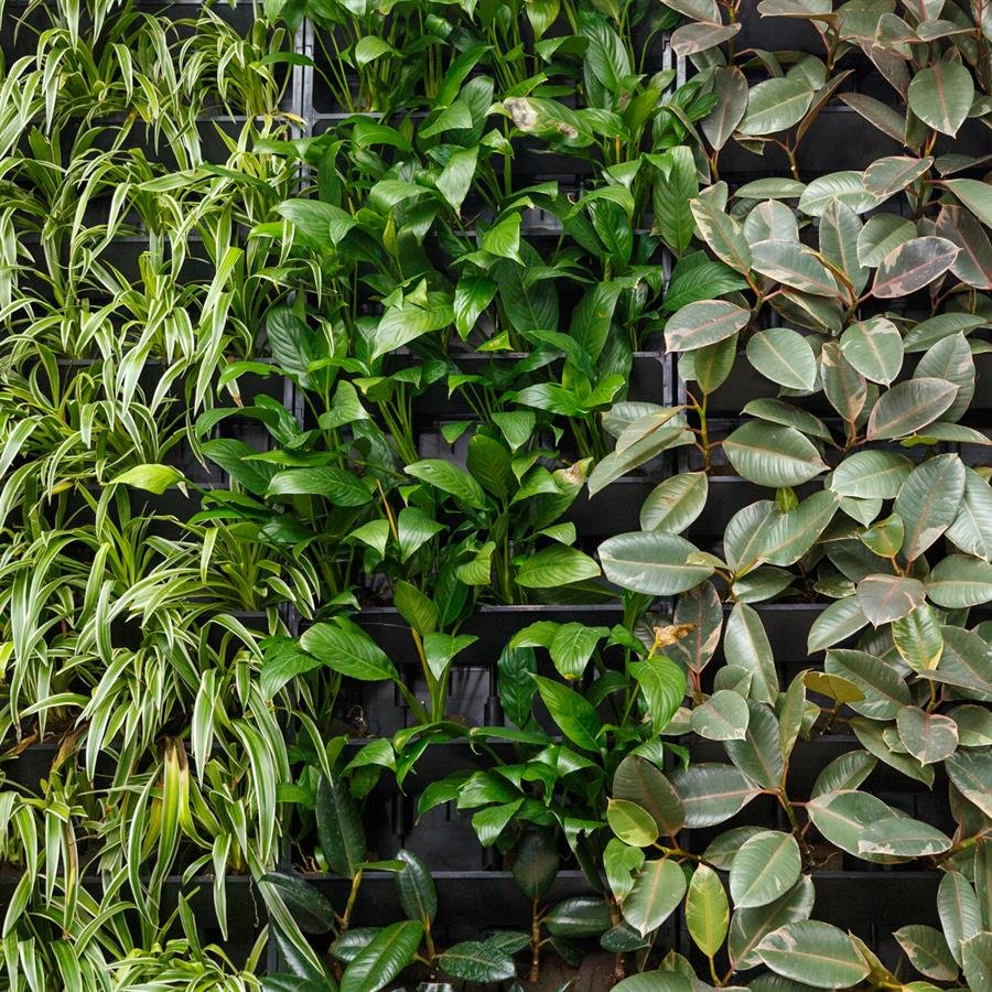 F. Indoor Wall Panel Pafcal With Plants