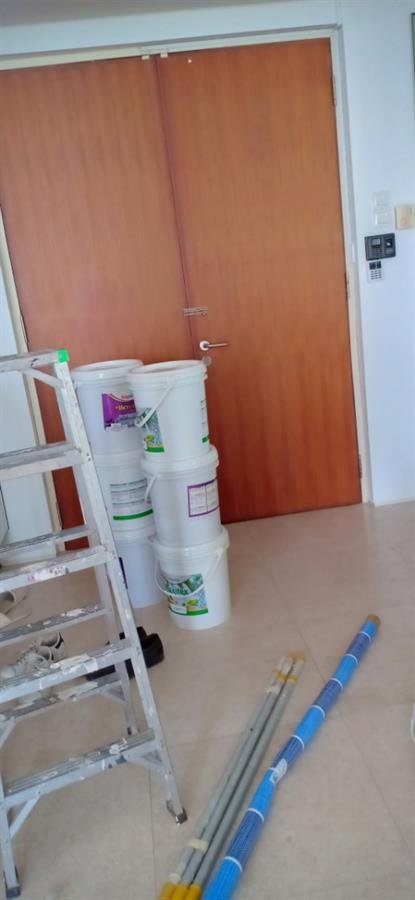 Professional painting service