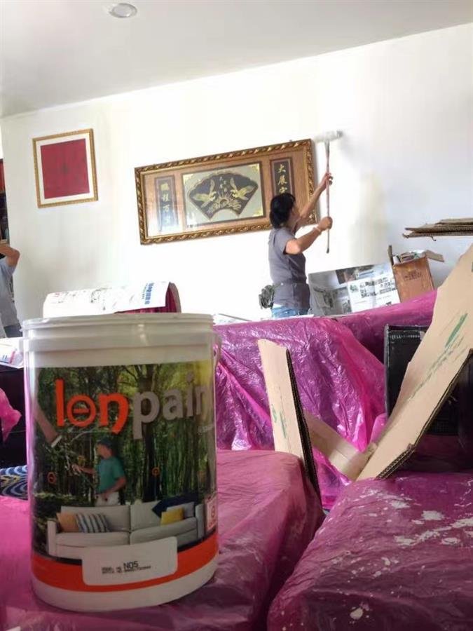 Professional painting service
