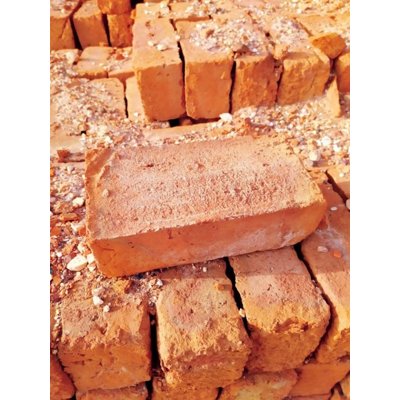 RedBricks
