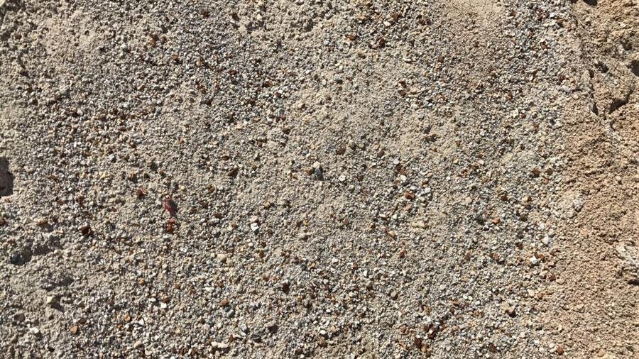 Sand