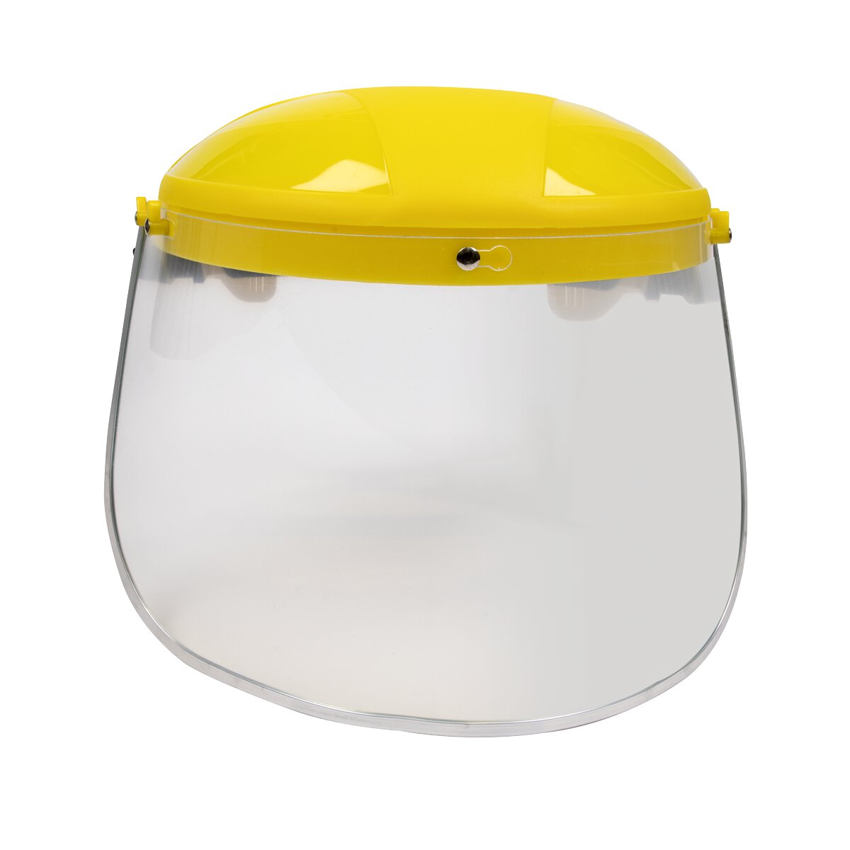 Face Shield