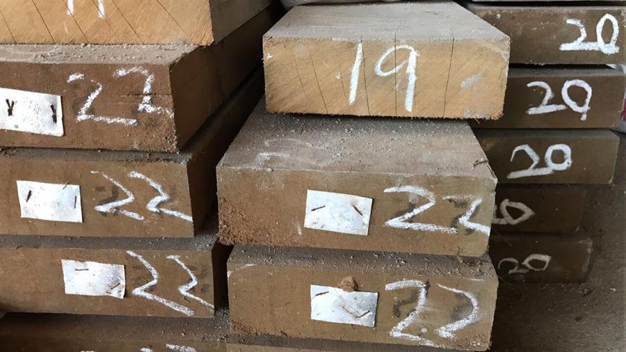 Wood