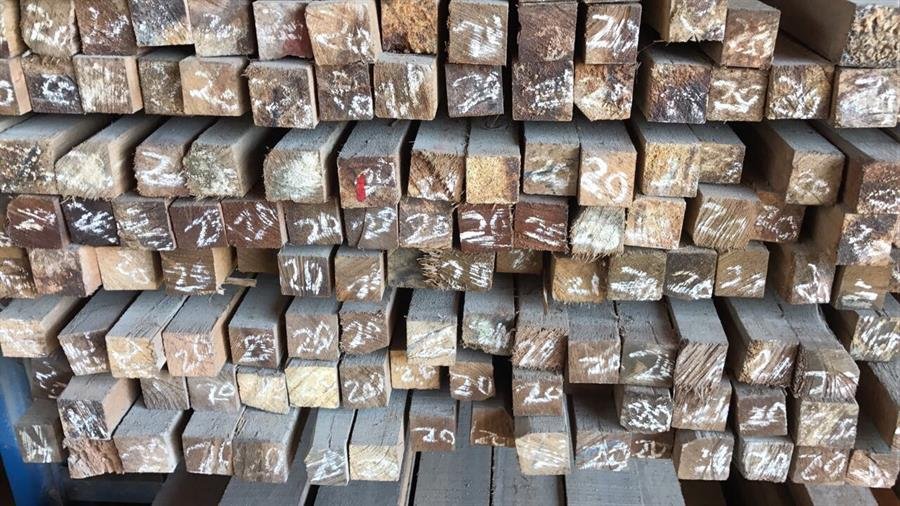 Wood