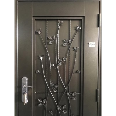 Wrought Iron Door